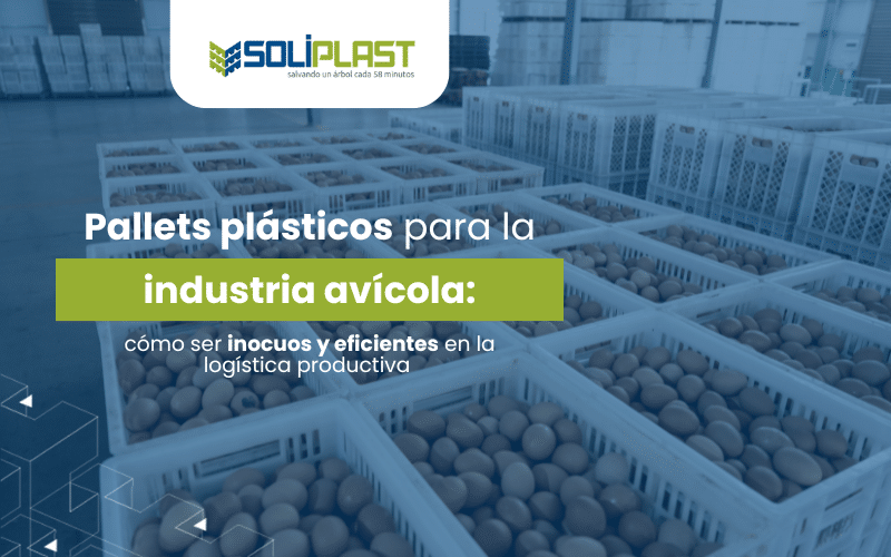 Pallets plásticos para la industria avícola: cómo ser inocuos y eficientes en la logística productiva